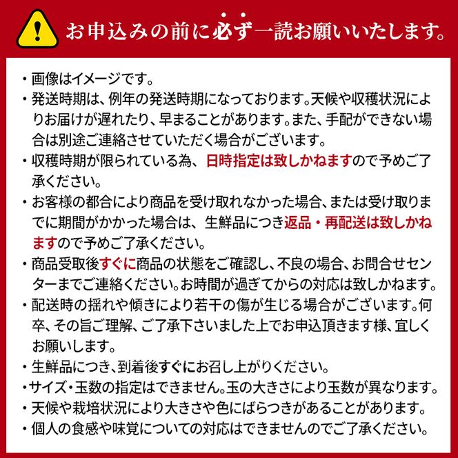 【2026年11月下旬～発送予定】先行予約 訳あり りんご サンふじ 約10kg 24～40玉入 家庭用 フルーツ 果物 甘い おいしい 林檎 リンゴ