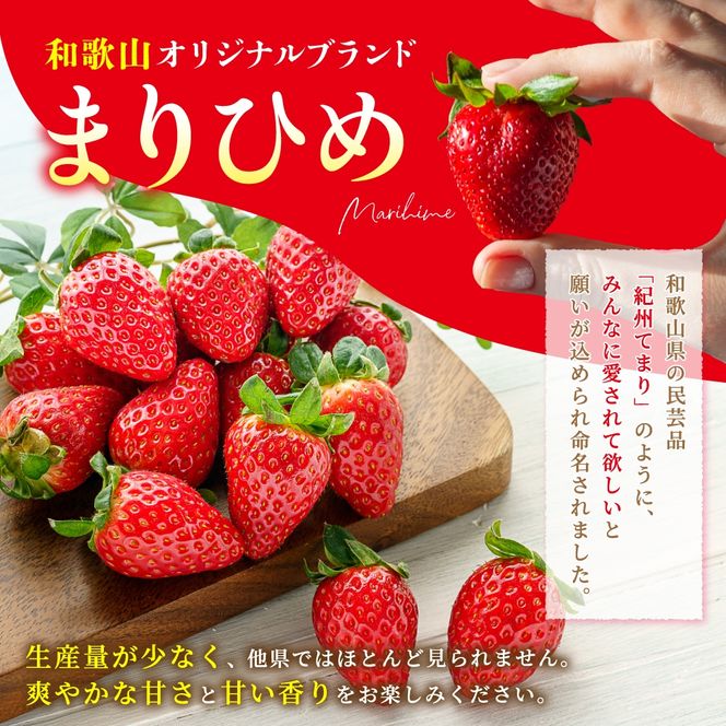 【先行予約】まりひめ いちご 12粒～15粒入り×4パック（1kg）2027年1月中旬頃～2027年3月下旬頃に順次発送予定（お届け日指定不可）/ いちご 苺 まりひめ 和歌山 フルーツ 果物 くだもの【kgr008B】