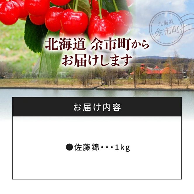 【先行受付：2026年7月初旬以降発送分】さくらんぼ（佐藤錦） 1kg 北海道 余市 余市町農業協同組合 フルーツ デザート 果物 季節限定 グルメ とれたて 甘み 鮮やかな紅色 冷蔵 お取り寄せ_Y010-0656