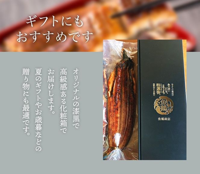 【3ヶ月定期便】大型サイズ ふっくら柔らか 国産うなぎ蒲焼き 2尾×3ヶ月連続でお届け 計6尾 約1020g【tkb309】