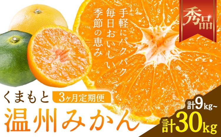 みかん 定期便 秀品 温州みかん 3ヶ月 選べる 内容量 計9kg 計15kg 計30kg 日本フルーツ株式会社[10月上旬-12月末頃出荷]熊本県 長洲町 ミカン 蜜柑 柑橘類 極早生 早生 中生 果物 フルーツ---sn_nfumtei_23000_mini_oct3---