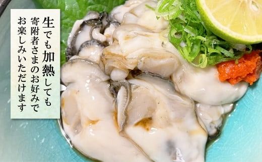 ［期間限定1月～6月発送］【生食用】牡蠣むき身(300g×1パック) 【配送日指定不可】