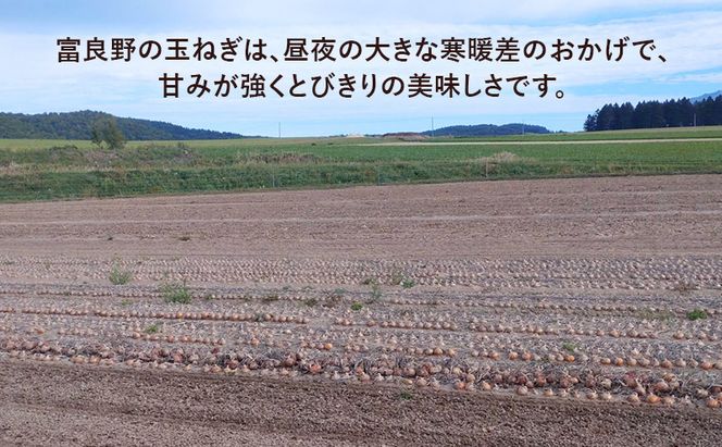 【2026年先行受付】［3か月定期便］富良野産 黄色 玉ねぎ 約10kg（約30～40玉） M～2Lサイズ　野菜 新鮮 直送 黄玉ねぎ 玉葱 玉ネギ 道産 北海道 富良野市 ふらの 幕田農園