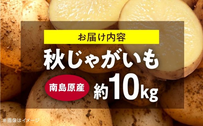 じゃがいも 約10kg 馬鈴薯 秋じゃが / ジャガイモ ばれいしょ 野菜 やさい 芋 / 南島原市 / 株式会社松尾青果[SGU004]
