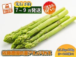 アスパラガス 先行予約 2026年 夏アスパラガス 約1.3kg+100g S～2L 訳あり 不揃い 佐藤農園 規格外 アスパラ グリーンアスパラ 野菜 夏野菜 夏 旬 産地直送 高評価 青森 青森県 鰺ヶ沢町 冷蔵配送 7月～9月発送