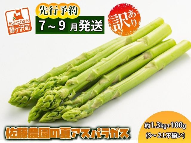 アスパラガス 先行予約 2026年 夏アスパラガス 約1.3kg+100g S～2L 訳あり 不揃い 佐藤農園 規格外 アスパラ グリーンアスパラ 野菜 夏野菜 夏 旬 産地直送 高評価 青森 青森県 鰺ヶ沢町 冷蔵配送 7月～9月発送
