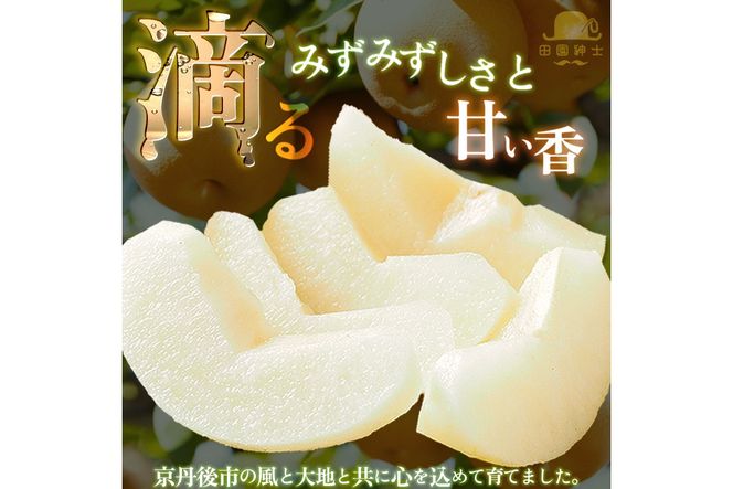 田園紳士厳選「梨好きさんのための梨セット」新興梨ともう1品種の計2品種セット 果物 フルーツ 梨 セット 詰め合わせ 新興梨 あきづき 甘太 王秋 ふるさと納税 梨 ふるさと納税 フルーツ セット　DE00173