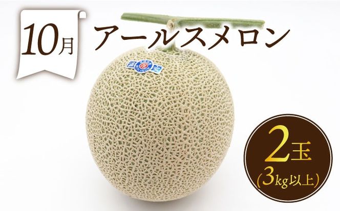 【年6回 偶数月コース】＜2026年2月～初回発送＞果物屋が選ぶ旬のフルーツ定期便 ハウスびわ メロン ぶどう (巨峰) みかん など / 南島原市 / 贅沢宝庫 [SDZ022]