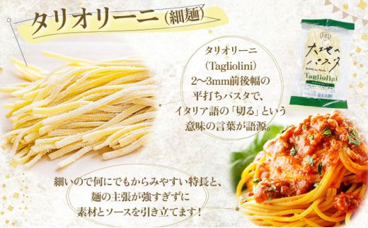【もちもち食感】北海道産小麦 生パスタ 2種 食べ比べ 16食セット (フィットチーネ / タリオリーニ)  | パスタ スパゲッティ もちもち 麺 ゆで時間2分 時短 簡単調理 国産 北海道 pasta pasuta 望月製麺所 
