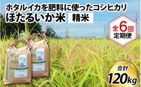 ほたるいか米（精米20kg）×6回 計120kg【6ヶ月定期便】