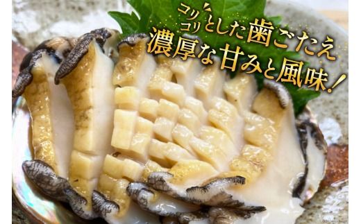 【期間限定発送】 海鮮 訳あり 三陸産 活アワビ 800g (7～8個) [マルヤ五洋水産 宮城県 南三陸町 30al0006] 魚介類 あわび 鮑 天然 蝦夷あわび 貝 冷蔵 刺身 刺し身 活き ステーキ