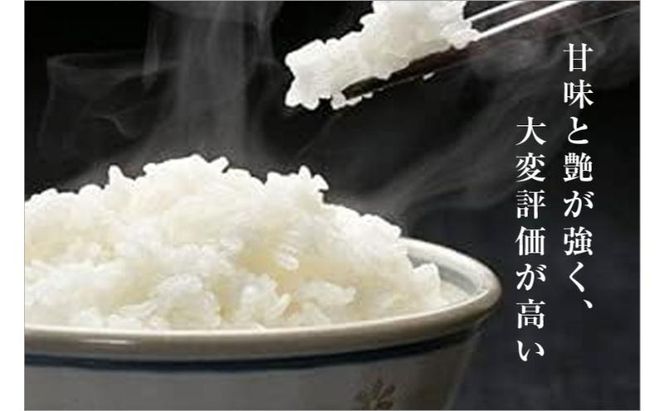 令和8年産米 先行予約 新米 極上魚沼産コシヒカリ 令和8年産米 1kg【定期便／12ヶ月】ゆきまち米＜令和8年10月下旬～順次発送＞