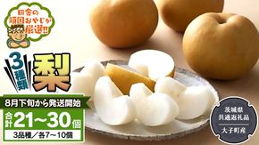 梨 3種 セット 【2026年8月下旬より発送開始】 （茨城県共通返礼品 [梨]：大子町産） 田舎の頑固おやじが厳選！ なし 果物 フルーツ 美味しい [BI334-NT]