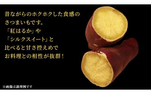 さつまいも 【 選べる品種 】 5kg / 10kg ( 箱込 ) サツマイモ さつま芋 芋 いも 野菜 焼き芋 スイーツ おやつ 国産 シルクスイート 紅はるか 紅あずま ふくむらさき ほしあかね