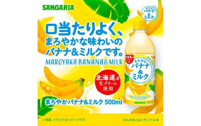 サンガリア　まろやかバナナ＆ミルク　500ml　24本入 【igge0021】