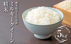 令和7年度　栃木県さくら市産ミルキークイーン　精米5kg｜米　白米　コメ　こめ　菜っ葉館※2025年11月上旬頃から順次発送予定