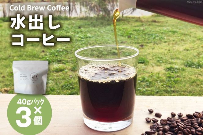 水出しコーヒー 40g 3パック [会染焙煎工房 長野県 池田町 48110674] 珈琲 お手軽 水出し コーヒー パック 水出しアイスコーヒー