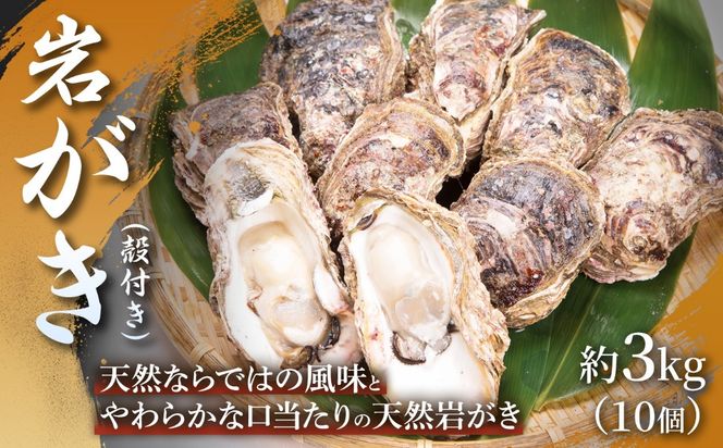 【夏限定！！】岩がき（殻付き）約3kg （10個） 1箱 岩ガキ カキ 牡蠣 天然岩ガキ 殻付き 網焼き BBQ 産地直送 夏の味覚 お中元 ギフト 贈答品 浜坂産 兵庫県
