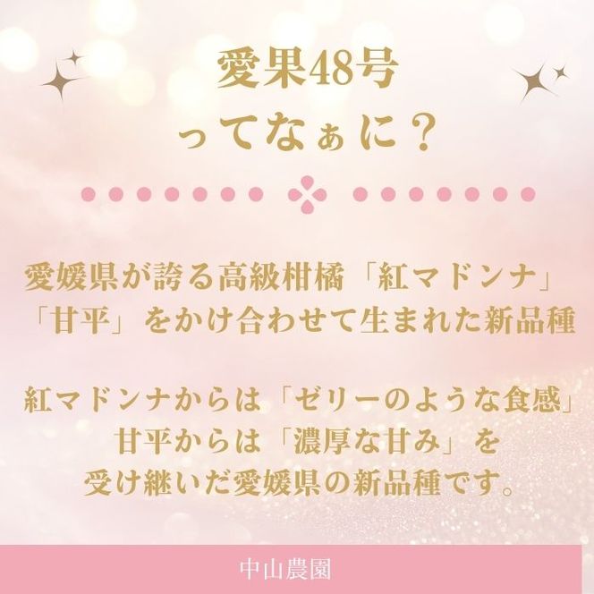 【先行予約：2027年3月上旬～発送】 訳あり プリンセス 愛果48号 3kg  みかん 小玉 愛媛県 の 新品種 高級 人気 ブランド 柑橘 果物 フルーツ サイズミックス 甘い おいしい お取り寄せ 産地直送 農家直送 国産 特産品 中山農園 愛媛県 愛南町