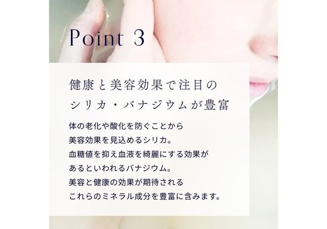 【12ヶ月お届け】富士山の源流水（9.5L×2本/ケース）  定期便 水 ミネラルウォーター 天然水 ウォーターサーバー 詰め替え用 山梨 富士吉田