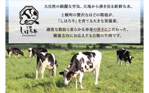 【CF】■定期便■ 北海道 しほろ牛 冬の定期便 全5回 牛肉 サーロイン ステーキ リブロース 切り落とし ローストビーフ 肉 牛 赤身肉 国産牛 肉 ビーフ 牛肉 冷凍 お惣菜 焼肉 頒布会 送料無料 十勝 士幌町【X22】