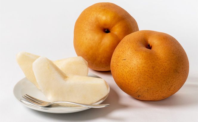 フルーツ 定期便 2026年 先行予約 フルーツ王国 岡山を堪能 5回コース 桃 もも 葡萄 ぶどう 梨 なし岡山県産 国産 果物 セット ギフト 柔らかい マスカット 甘い 酸味 高級 香り 風味 