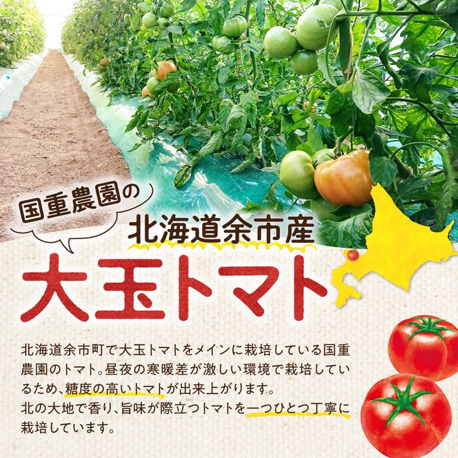 【先行予約：2026年9月上旬以降発送】トマト農家が本気で作る「秋トマト」4Kg 桃太郎はるか 低段栽培 大玉トマト 自根栽培 種から育成 野菜 寒暖差_Y165-0003
