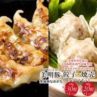 焼売 餃子 美明豚「びめいとん」のジューシー焼売と餃子のアソート｜シュウマイ 焼売 しゅうまい 餃子 ぎょうざ ギョウザ 美明豚 びめいとん 肉 肉加工品 豚肉 お肉 ジューシー 茨城県 行方市(HJ-3)