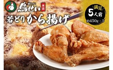 鳥せい本店の若どりから揚げ 満足5人前_S004-0007