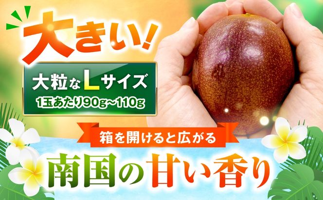 【2027年発送】【先行予約】 沖縄県産パッションフルーツ (1kg箱入り)／南国フルーツ 国産 果物 ギフト 産地直送 お取り寄せ 沖縄産 沖縄市 / ちゃんぷる～市場 [BCAA009]