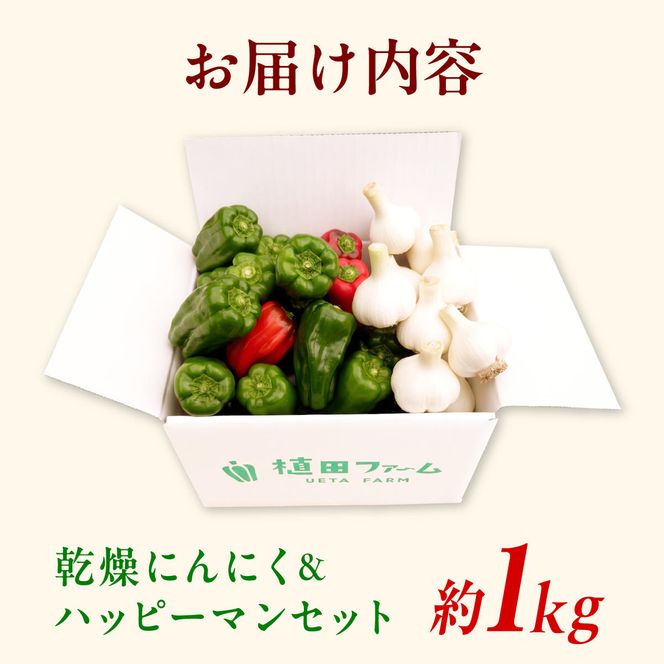 【先行予約】乾燥平戸にんにく＆ハッピーマンセット 約1キロ 約1kg 〈2026年10月～11月末頃発送〉ニンニク 自然乾燥平戸にんにく ピーマン 野菜 やさい おかず 副菜 お弁当 新鮮 おいしい 採れたて 国産 お取り寄せ 高知県 土佐市【株式会社植田ファーム】[BQAT011]