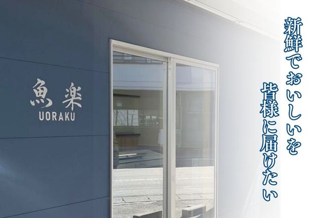 サバの味噌煮 JK004 鯖　さば　サバ　味噌煮　切り身