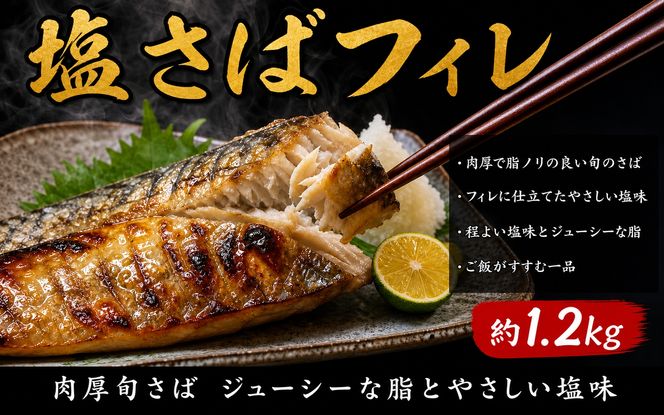【全3回】大人気！ ご家庭用 塩さばフィレ＆紅鮭切身セットをたっぷりお届け定期便 / さば サバ 鯖 フィレ 鮭 サケ 切り身 切身 魚 海鮮 焼き魚 おかず 定期便【tkb356】
