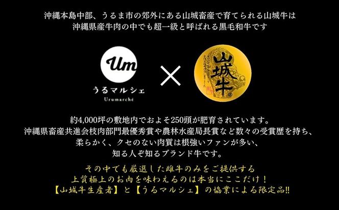 【入手困難】【幻の黒毛和牛】『山城牛』【雌牛限定】カルビ　焼肉カット250g