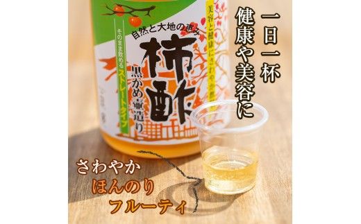 無添加・自然発酵！柿酢ストレートと酵素のセット(720ml×各1本)国産 カキ 柿 健康飲料 酢 ミネラル アミノ酸 ビタミン【柿健堂】akn017-06