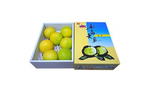 【CF-R7hbk】高知県産 水晶文旦 5kg 5キロ 文旦 ブンタン ぶんたん 柑橘 かんきつ 蜜柑 みかん 柑橘類 フルーツ 果物 くだもの デザート おやつ 爽やか 甘い あまい ジュース 美味しい おいしい