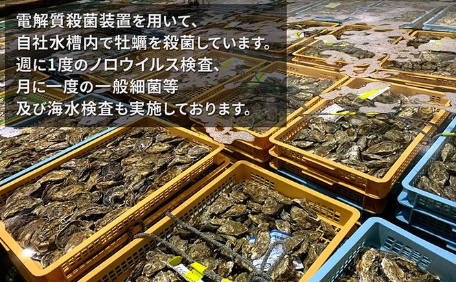 厚岸で産まれ30ヵ月育成 北海道 厚岸産 牡蠣 カキえもん LLサイズ 20個 カキ 