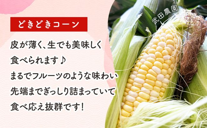 2026年夏発送 ［武田農園とれたて直送］スイートコーン どきどきコーン 2L 20本 北海道 富良野産 ( とうもろこし 野菜 新鮮 とうきび 甘い 産地直送 先行予約 限定 ）