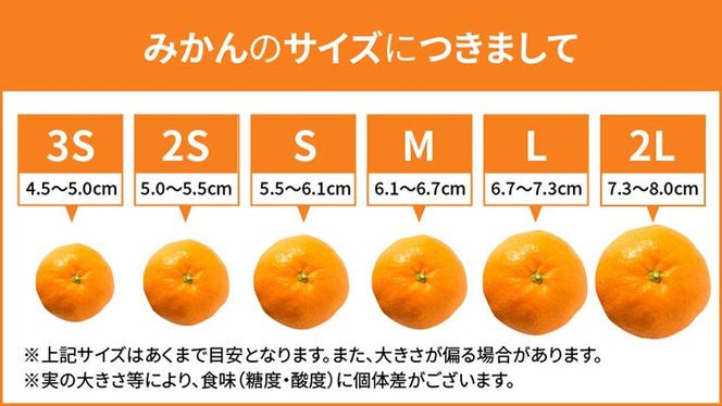 【先行予約】 田村みかん 約5kg 【Lサイズ】 和歌山県 湯浅町 田村地区産