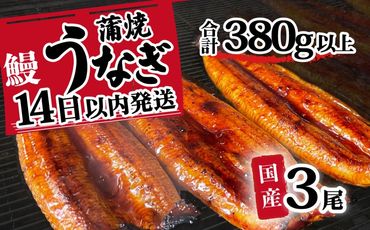 【最速発送】【 訳アリ 】 国産うなぎ 蒲焼き 3尾 セット ( 380g ) 大きさ の不揃い 山椒付き うなぎ ウナギ 国産 蒲焼 鰻 茨城 訳あり 八千代町 ふるさと納税 11000円 1週間以内発送 [SF001ya]