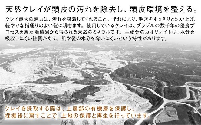 シャンプー クレイエステ プライミングシャンプー ゴールドクレイ 400ml 800ml 詰め替え用 選べる 内容量《30日以内に出荷予定(土日祝除く)》茨城県 結城市 化粧品 ヘアケア loretta シャンプー 詰め替え ケア用品 ヘア 美容 ケア用品 ヘア 美容【配送不可地域あり】（沖縄・離島）---yuki_s_18_400ml---