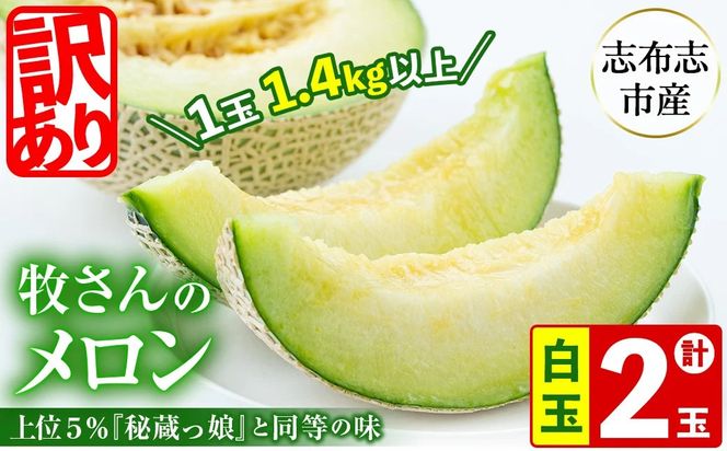 【春限定・数量限定】牧さんの訳ありメロン 白玉(青肉)計2玉 b0-106-s