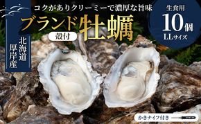北海道 厚岸産 生食用 殻付カキ LLサイズ 10個 マルえもん 牡蠣 魚貝類 生牡蠣 かき