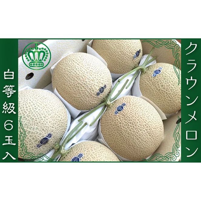 クラウンメロン（白等級）６玉入 果物類 メロン青肉 