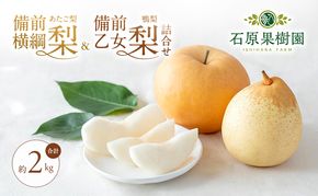 梨 2026年 先行予約 備前横綱梨（あたご梨） 1玉( 1～1.5kg)・備前乙女梨（鴨梨） 2～3玉 詰合せ 合計約2.0kg【11月下旬～12月中旬頃発送】 岡山県産 フルーツ ギフト 石原果樹園 果物 食べ比べ 
