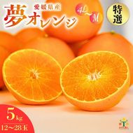 【先行予約】特選品 みかん職人の夢オレンジ５kg まどんな 愛果28号 柑橘 果物 フルーツ 愛媛 みかん職人 武田屋 蜜柑 大小ミックスサイズ 甘い 甘さ みかん かんきつ らんきんぐ 柑橘 冬 旬 食べごろ 農家 農家直送 農園 人気 農家直送 地場産品 みかん職人 職人 武田屋 産直 みかん職人武田屋 愛媛県 愛南町