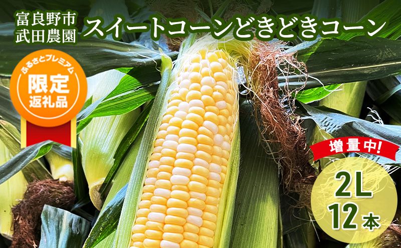 2026年夏発送![ふるプレ限定品]スイートコーン どきどきコーン 2L 12本 [武田農園とれたて直送]北海道 富良野産 とうもろこし 野菜 新鮮 とうきび 甘い 産地直送 先行予約 限定