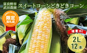2026年夏発送！【ふるプレ限定品】スイートコーン どきどきコーン 2L 12本 ［武田農園とれたて直送］北海道 富良野産 とうもろこし 野菜 新鮮 とうきび 甘い 産地直送 先行予約 限定