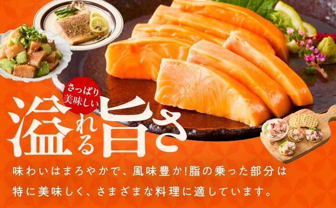 kgp0049-1 お刺身用 サーモン トラウト 2kg【小分け 約250g×8P ポーション ブロック 柵 訳あり サイズ不揃い さーもん 数量限定】