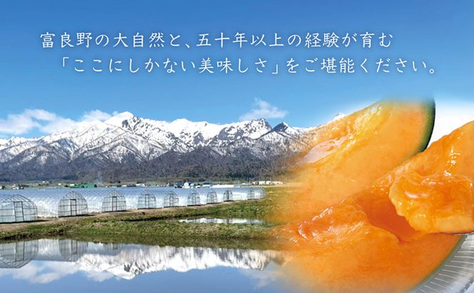 【2026年7月中旬～発送】ふらのメロン 赤肉 4～5玉 計8kg以上 北海道 富良野市 (大島農園)